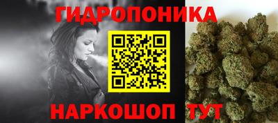 хмурый Гатчина