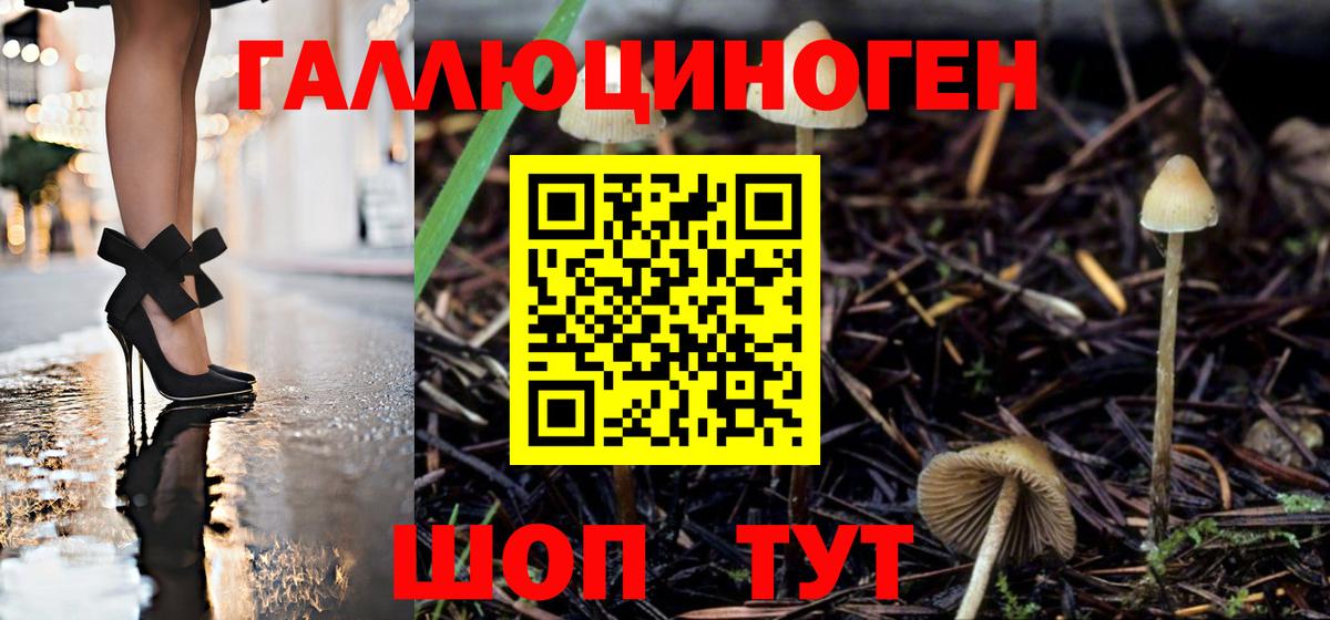 Галлюциногенные грибы мухоморы Октябрьский
